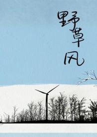 野草风txt