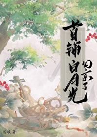 首辅白月光