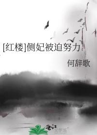 侧妃被打