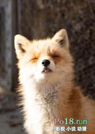 睡了反派男二之后大结局