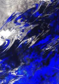 S级向导的治疗记录单(哨向nph)阅读